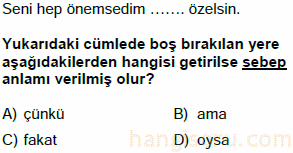 neden sonuç testi