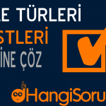8. Sınıf Türkçe Cümle Türleri Testleri Çöz