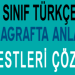 8. Sınıf Paragrafta Anlam Test Çöz