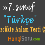 7. Sınıf Sözcükte Anlam Testi Çöz